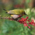 胜天国际:数字化转型对国际业务的影响 5g5of