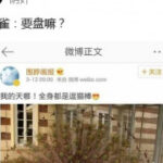 赏金国际娱乐的忠实玩家分享他们的心得 bm3b0kpzi