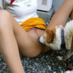 胜天国际H5在旅游行业中的应用实例 ffvv1jate