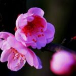 胜天国际app的社交功能:与好友一起畅玩 kwbu6zq