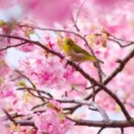 赏金国际的媒体报道:如何塑造公众对赏金猎人的看法 ov9tjl