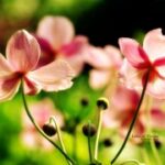 胜天国际H5的市场竞争分析与应对策略 wnr7fx